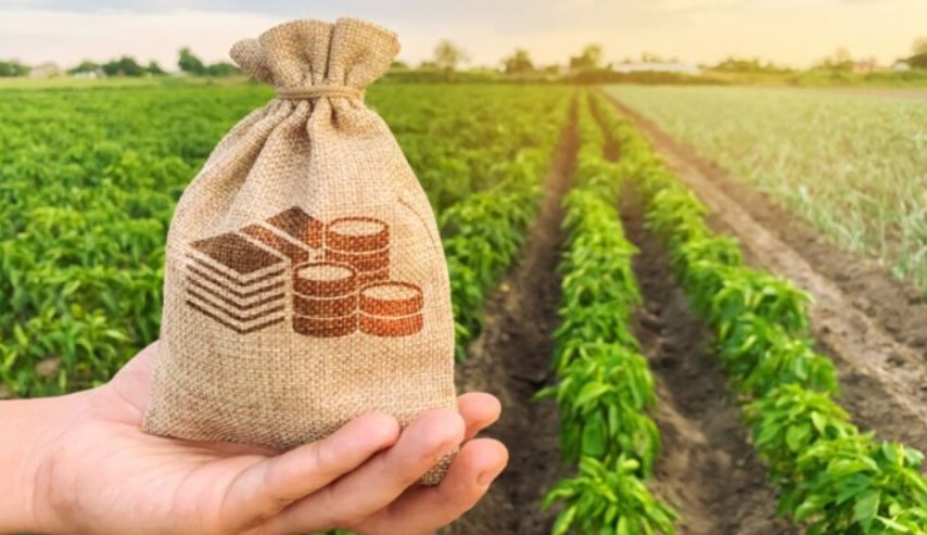 5 Ways To Generate Income From Agribusiness